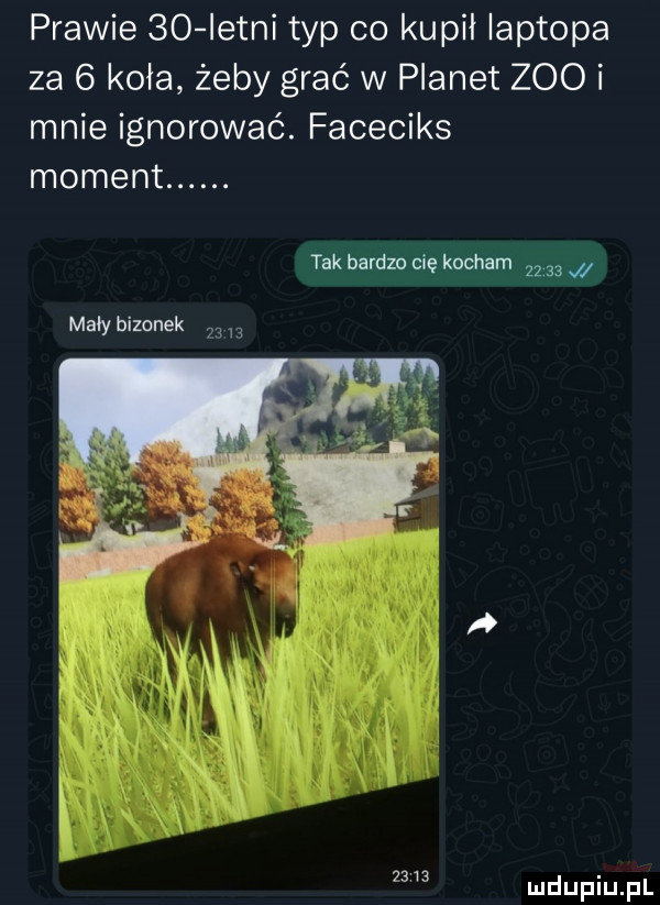 prawie    istni typ co kupił laptopa za   koła żeby grać w planet zoo i mnie ignorować. faceciks moment. tak barem cię kocham    mały brzanek