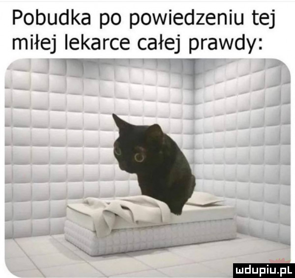 pobudka po powiedzeniu tej miłej lekarce całej prawdy t