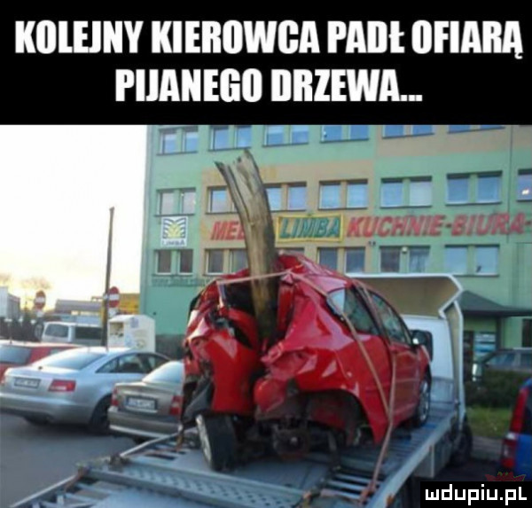 kllleiiiy kierowca i akii ofiara i iiaiieeii drzewa