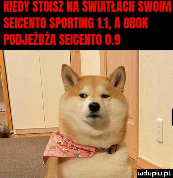 kiedy stoisz a wmmcu swoim seigeiitii sporting    . a    k pudjeżiiżi selgeiim     x i a mﬂ g r ludu iu. l