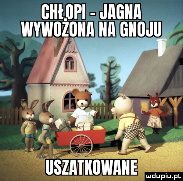 bhlllphjﬂﬂllﬂ wywozona ica gniijii iiszmkiiwaiiem