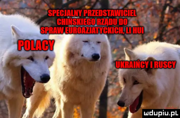 Obrazek