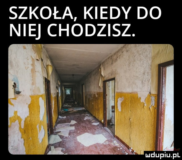 szkoła kiedy do niej chodzisz