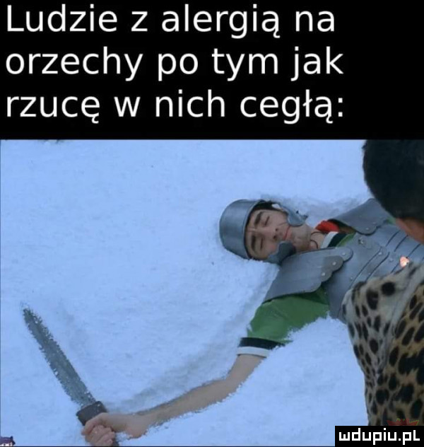 ludzie z alergią na orzechy po tym jak rzucę w nich cegłą