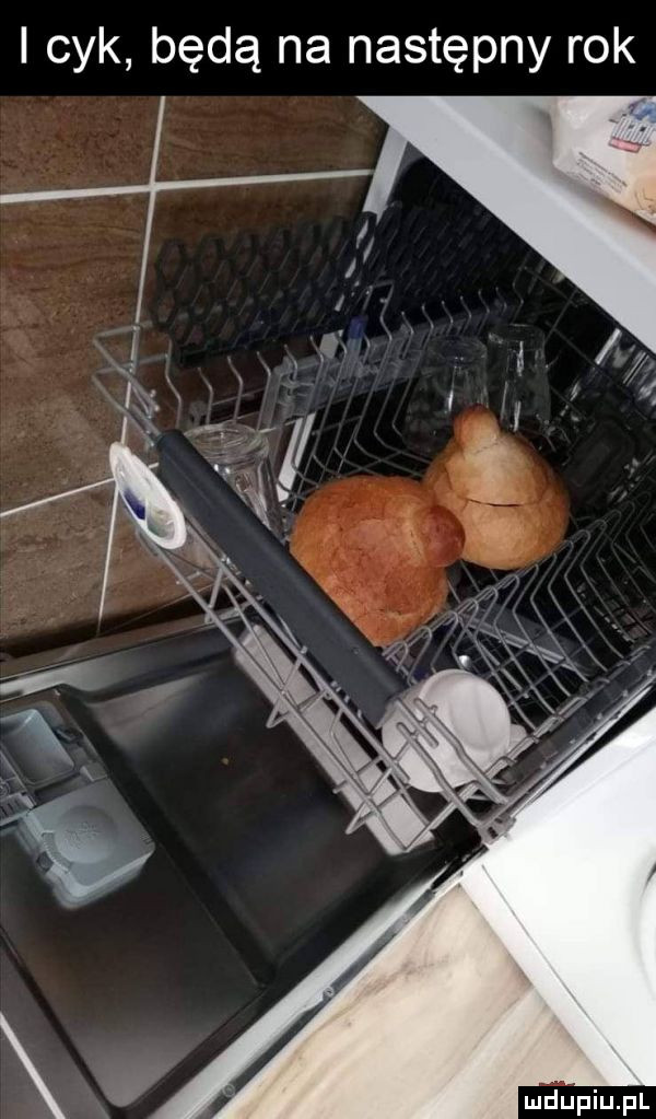 i cyk będą na następny rok