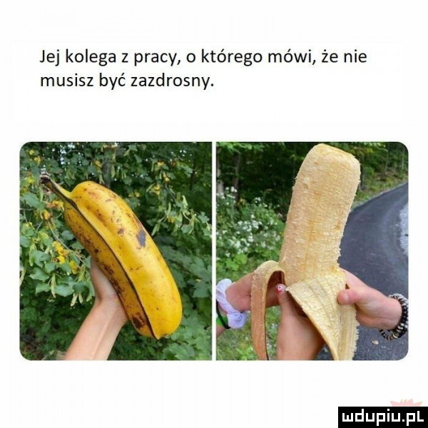 jej kolega z pracy o którego mówi że nie musisz być zazdrosny. ludu iu. l