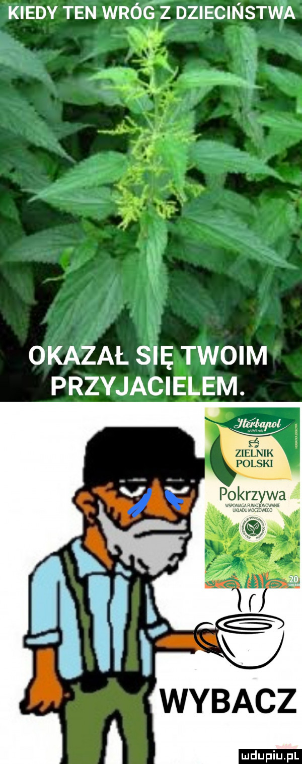 kiedy ten wróg z dziecinstw a l okazal sie twoim przyjacielem. wybacz