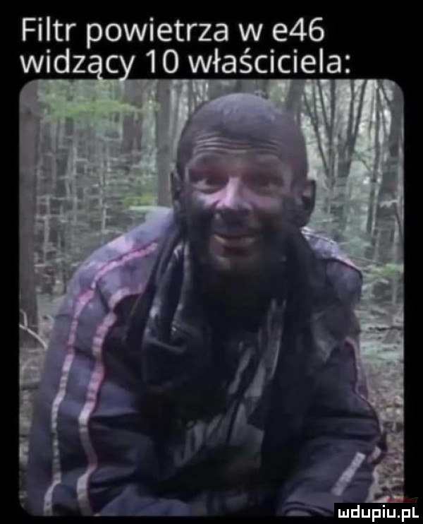 filtr powietrza w e   widz    właściciela ą s