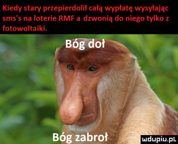 Obrazek