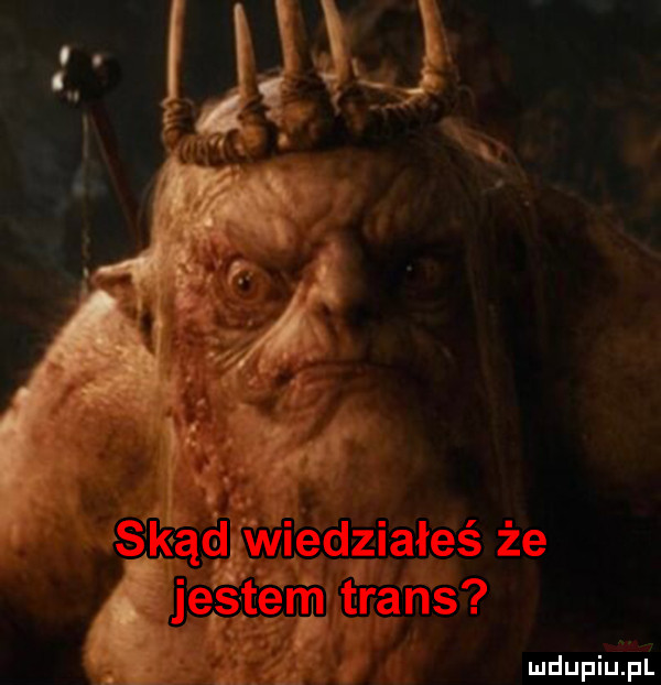 Obrazek