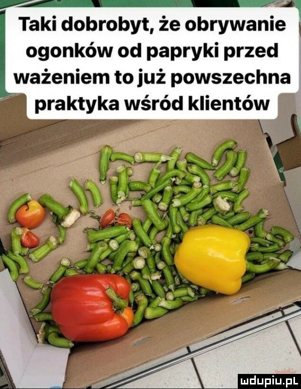 taki dobrobyt że obrywanie ogonków od papryki przed ważeniem to już powszechna praktyka wśród klientów