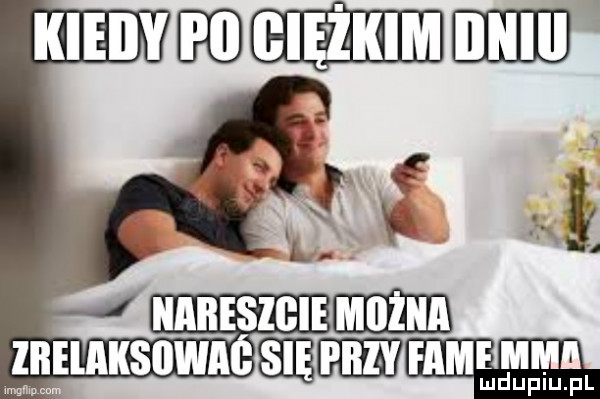 ecie lamus umów luppl