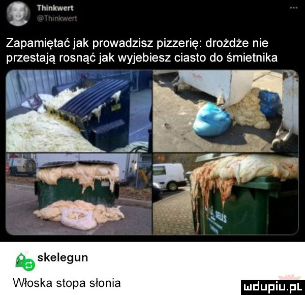 thinkth zapamiętać jak prowadzisz pizzerię drożdże nie przestają rosnąć jak wyjebiesz ciasto do śmietnika skelegun wioska stopa słonia