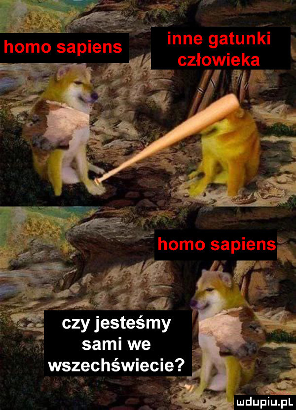 czy jesteśmy sami we