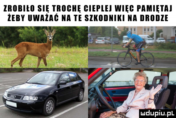 liiilbilii się i iiiigiię glei lei wici pamiętaj hcv iiwaiaó ica i e sikiibiiiki a illlllllle