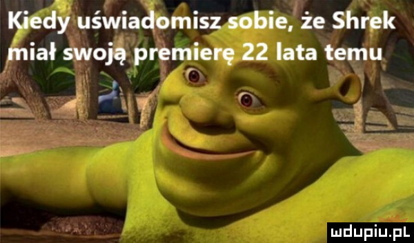 kiedy uświadomisz sobie że shrek miał swoją premierę    lata temu r t