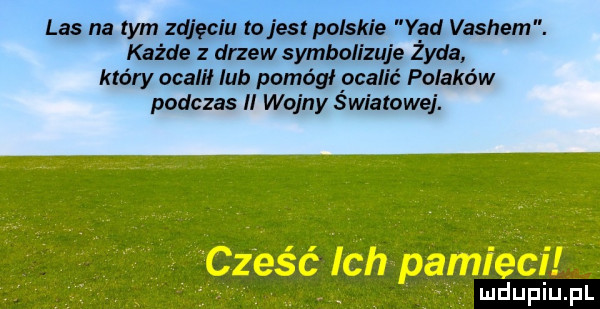czesc ich pamiec ludupiu. pl