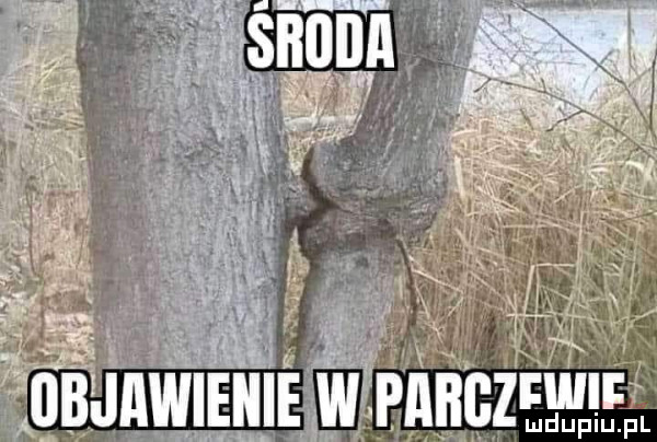 unnf ludupiu. pl