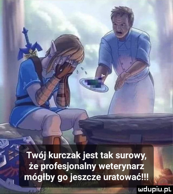 że profesjonalny weterynarz mógłby go jeszcze uratować. ludupiu pl twój kurczak jest tak surowy l