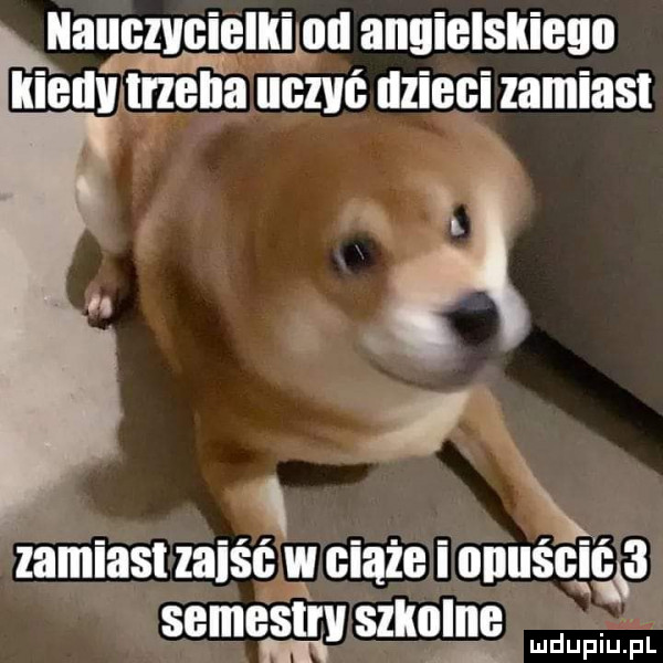 nagaggielliimu angielskiego iiiellvali maa uczuć dzieci zamiast i zamiast kliś ciąże i oiiiiśgicgś semestry shd ibl