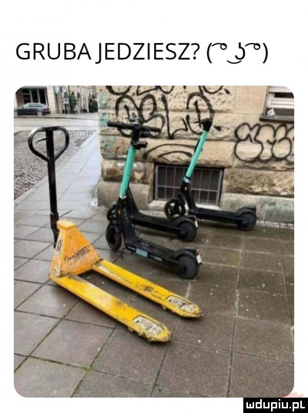 grubajedziesz l