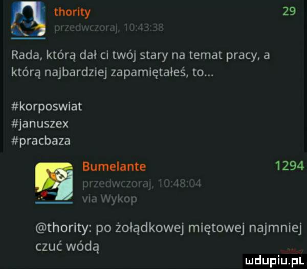 thorlty    rada którą dał ci twój stary na temat pracy a którą najbardziej zapamiętałeś to. korposwlat januszex pracbaza a bumelante      ma ykop thorlty po żołądkowej miętowe najmniej czuć wódą