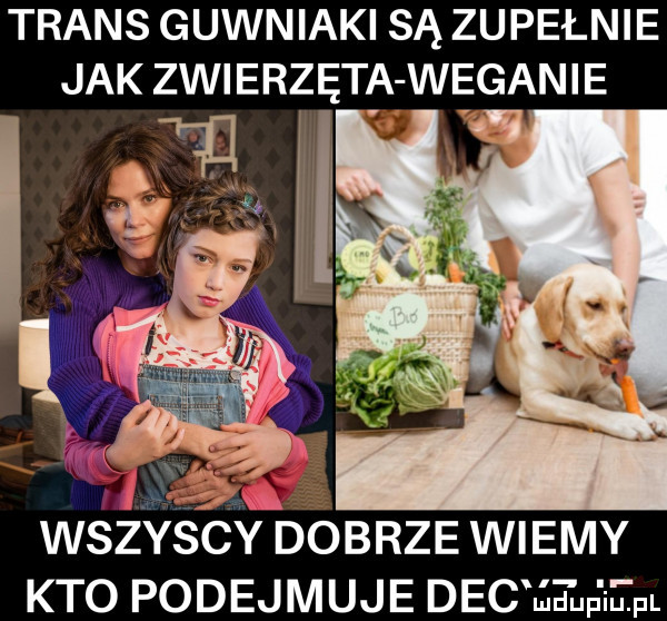 trans guwniaki są zupełnie jak zwierzęta weganie wszyscy dobrze wiemy kto podejmuje dec jeep i utul