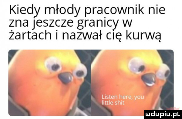 kiedy młody pracownik nie zna jeszcze granicy w żartach i nazwał cię kurwa li