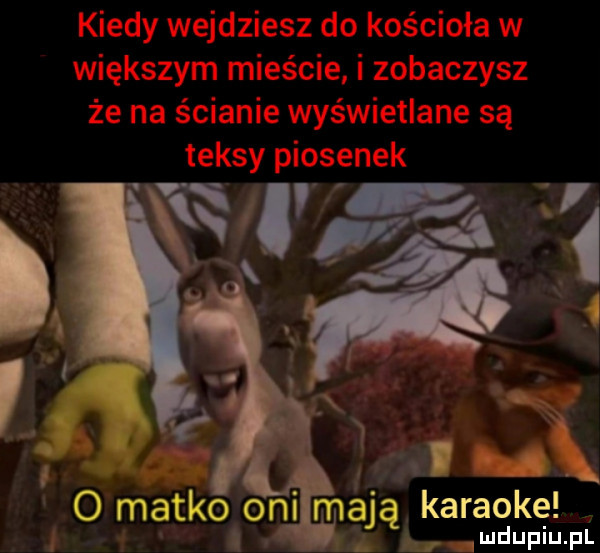 n. ni mają karaoke. abakankami o matko i