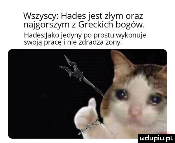 wszyscy hades jest złym oraz najgorszym z greckich bogów. hadeszjakojedyny po prestu wykonuje swoją pracę w nie zdradza żony