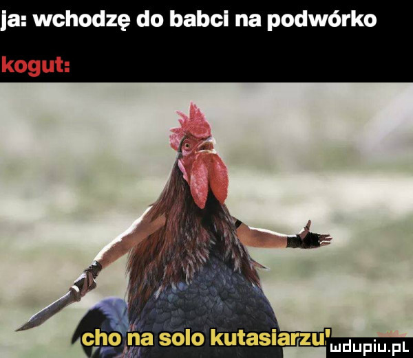 ia wchodzę do babci na podwórko kogut. ch na solo kutas ar-u n