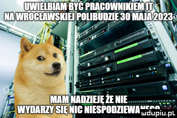 wmnzvsrulm ę iiiespiiiiiiew pal