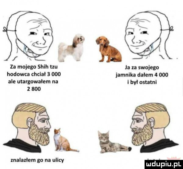 za mojegn shlh hu la n swojego hodowca th       jamnika dałem       ale ulargawaiem na i byl ostatni       l znalazłem    na ullcv