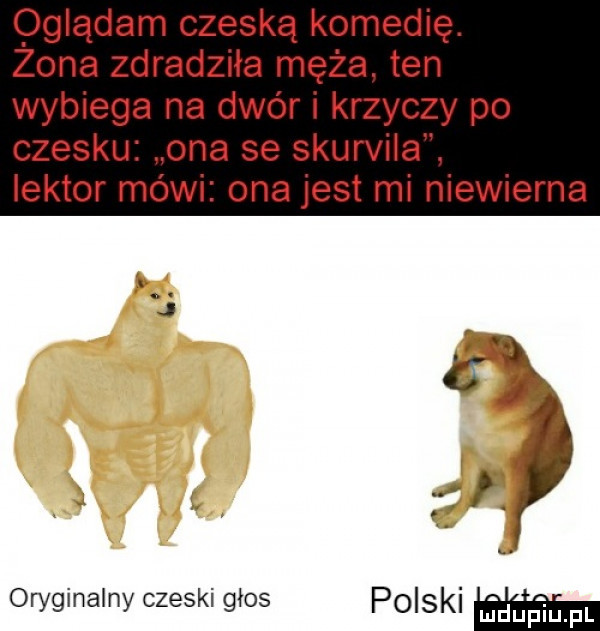 oglądam czeską komedię. zona zdradziła męża. ten wybiega na dwór i krzyczy po czesku ona se skurvila lektor mówi ona jest mi niewierna oryginalny czeski glos polski w