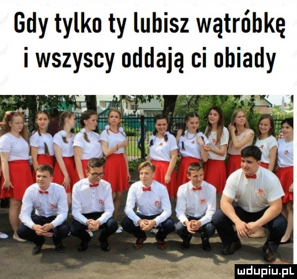 gdy tylko ty lubisz wątróbkę i wszyscy oddają ci obiady. abakankami j kﬂ