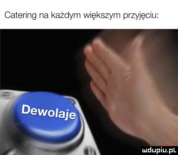 catering na każdym większym przyjęciu f dewolaje