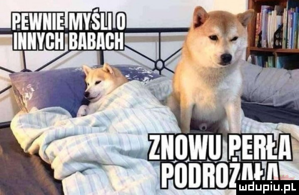 Obrazek