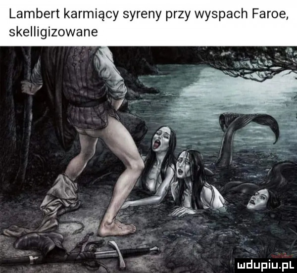 lambert karmiący syreny przy wyspach farne skelligizowane