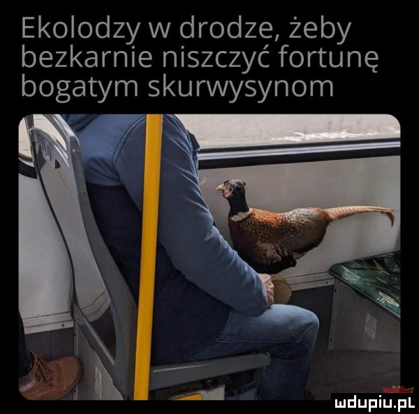 ekolodzy w drodze żeby bezkarnie niszczyć fortunę bogatym skurwysynom
