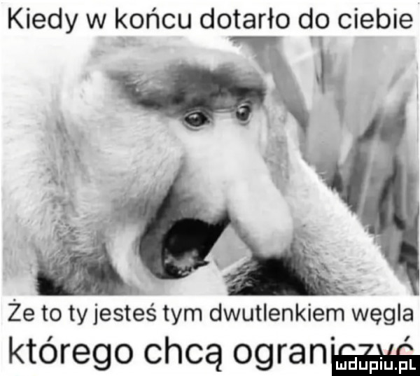 kiedy w końcu dotarło do ciebie że to ty jesteś tym dwutlenkiem węgla którego chcą ograniﬁgﬁ