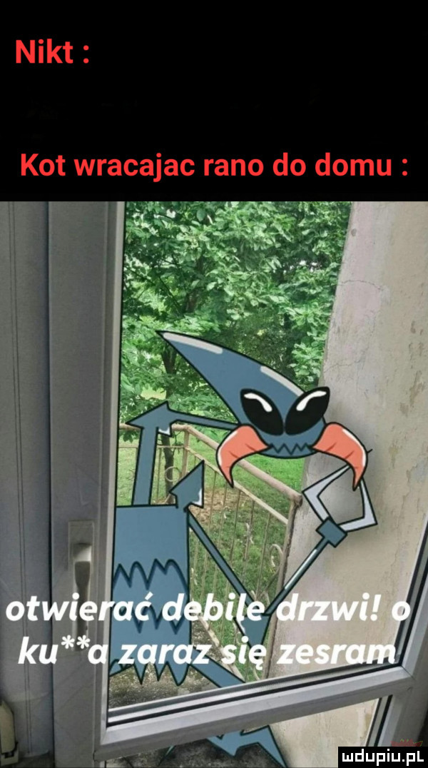 nikt kot wracajac rano do domu