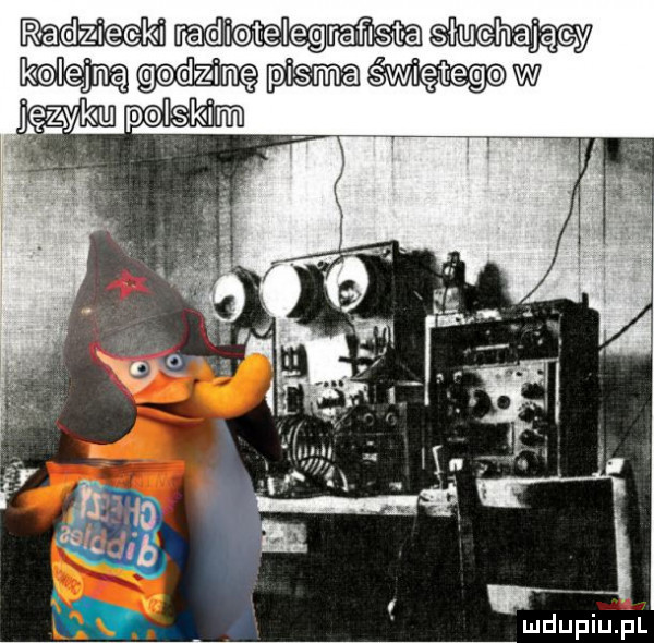 radziecgl k łachający aw l