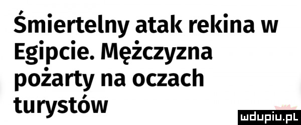 śmiertelny atak rekina w egipcie. mężczyzna pożarty na oczach turystow
