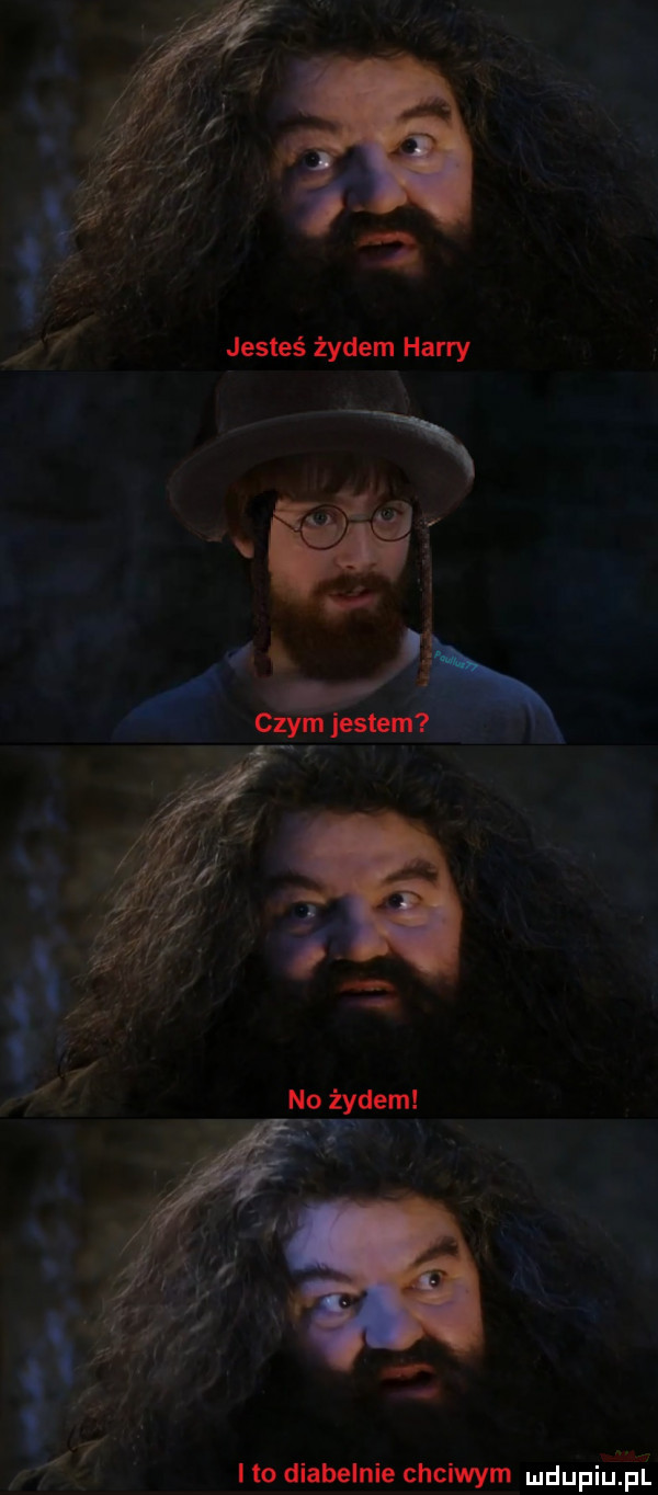 i jesteś żydem harry   ki ito diabelnie chciwym mdupiuiiuli