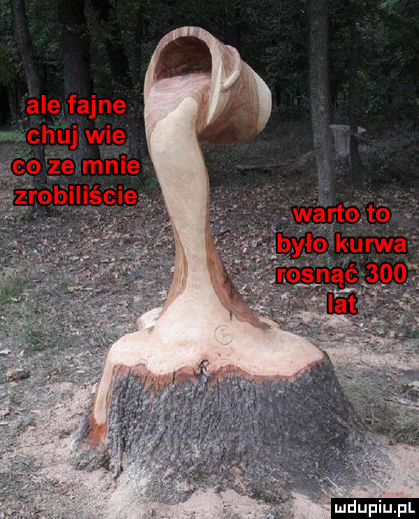 vale fajne chuj wie o że mnie zrobiliście