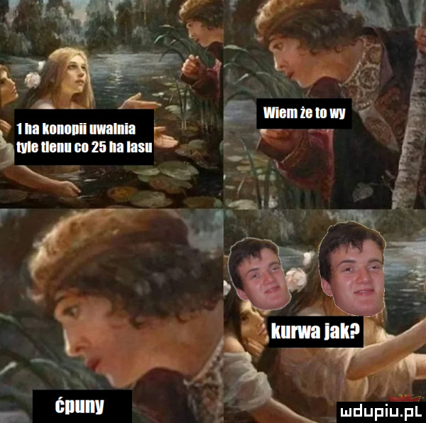 imimnniiiilni i r mew unmnam ó i