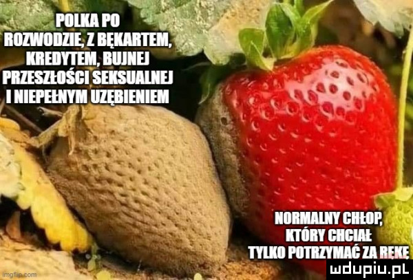Obrazek