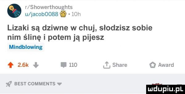 r showerthoughts u jacob    .   h lizaki są dziwne w chuj słodzisz sobie nim ślinę i potem ją pijesz mindhlwlng f    k i     l stare award   best comments