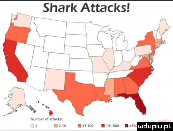 smark attacks