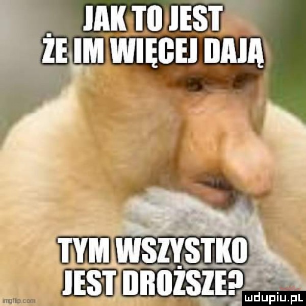 z im więch mam   mwszvgjm a